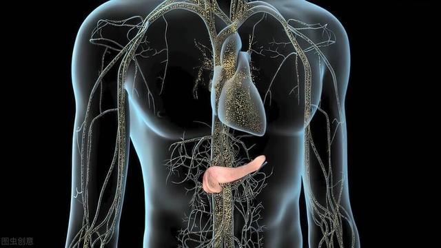 消化道腫瘤的真相與誤區，為什么會成為常見病？