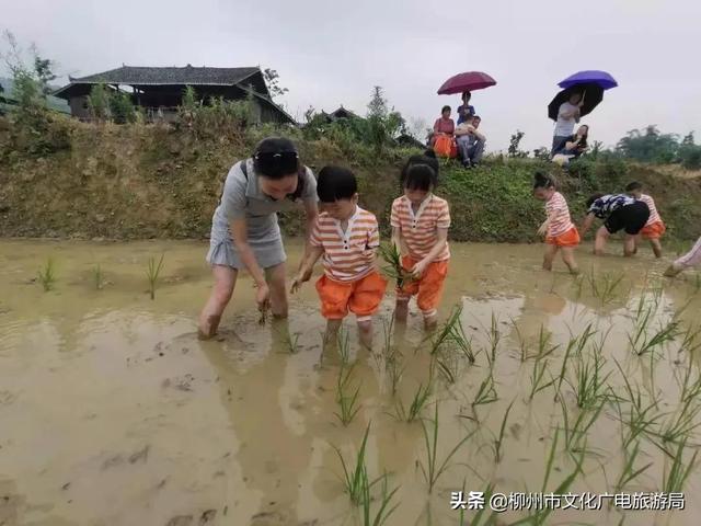 雙龍溝最全打卡攻略出爐，推給朋友絕對沒錯！