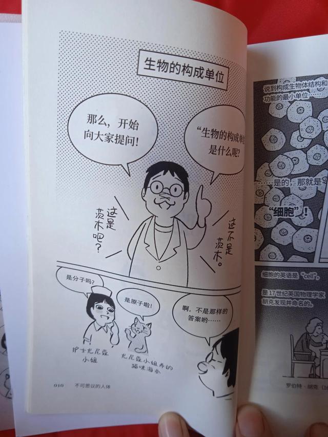 孩子了解自己身体，从这本有趣的书开始