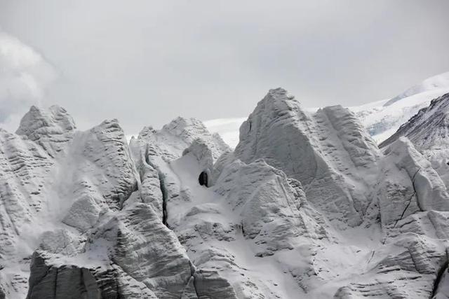 去西藏旅行