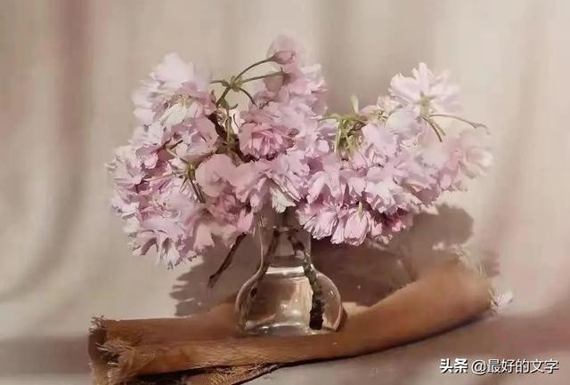 此文，送给可怜的自己！（深度好文）