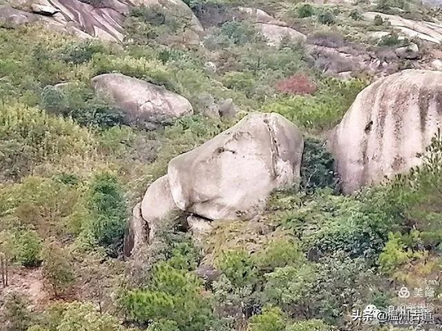 大羅山有處二師兄奇石，惟妙惟肖，你可找到過？