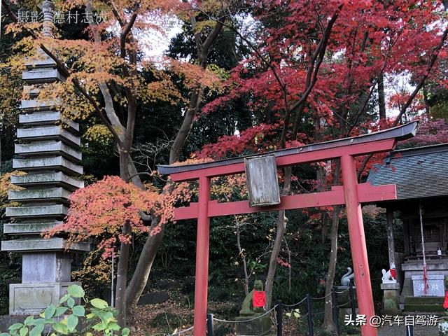 德村志成：落葉殘楓依然美麗，久違北小金本土寺