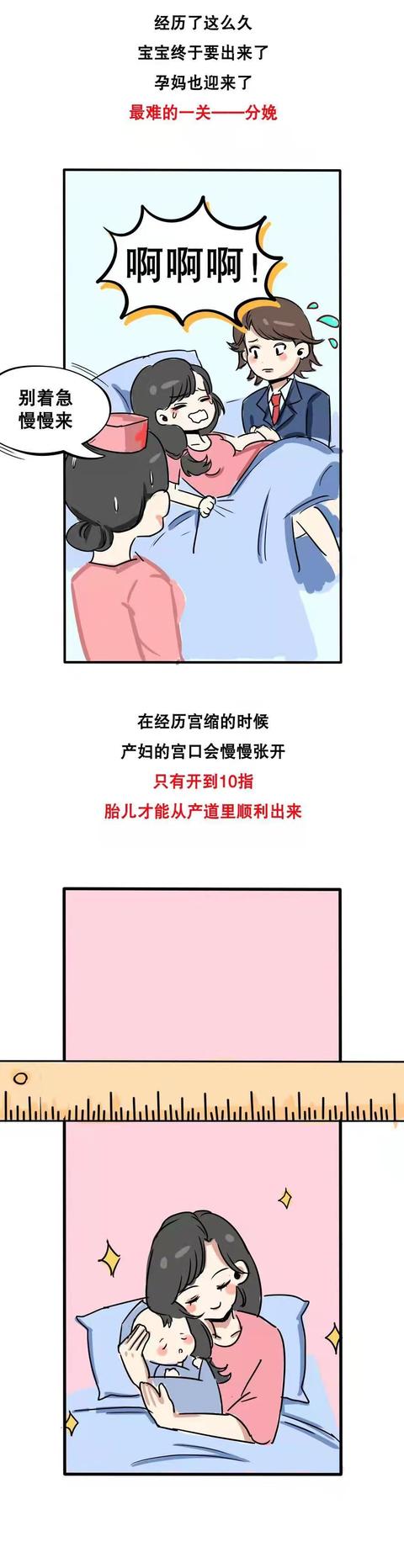 女性怀胎10月身体变化过程揭秘！宝宝和妈妈都一起经历了什么？