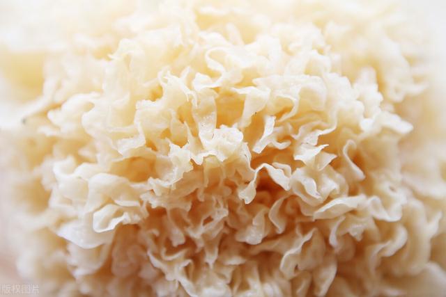 冬天进补之食补（六）