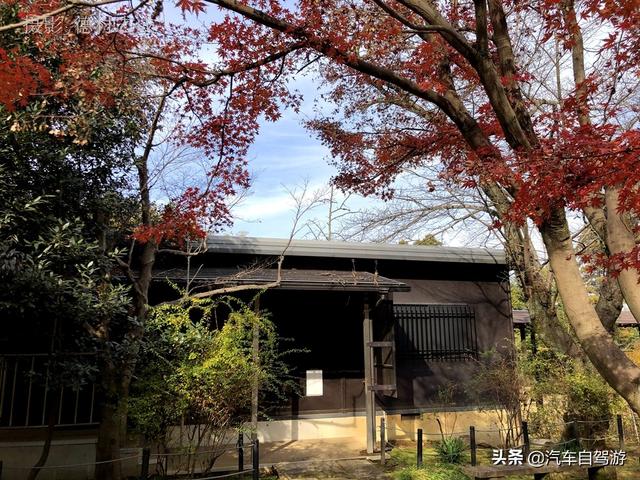 德村志成：落葉殘楓依然美麗，久違北小金本土寺
