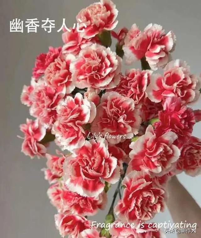 岁月不败美人，妈妈我永远爱您