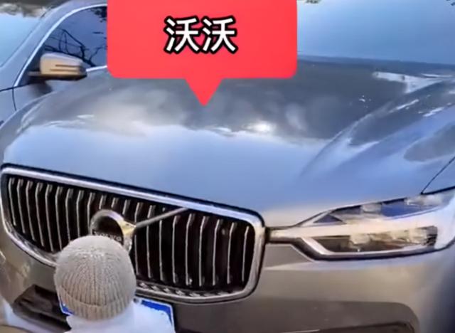 浙江一岁萌娃说不清话却已是“认车大师”，小区里的车标全能认对