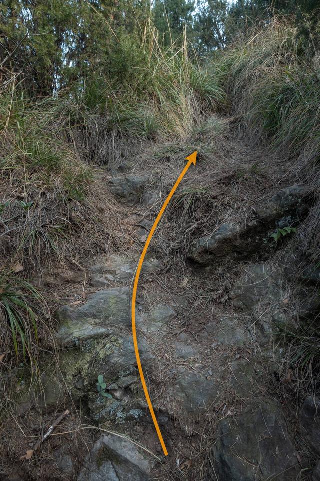 杭州登山徒步路線17：野路有趣，但不建議盲目去爬