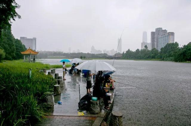 深圳8個免費旅行景點，你去過幾個？