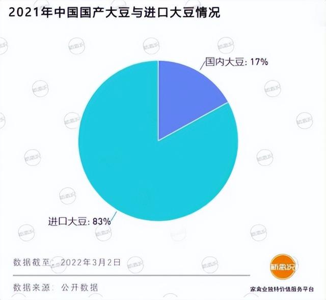 猪饲料比大米还贵，中国人还能“吃肉自由”吗？