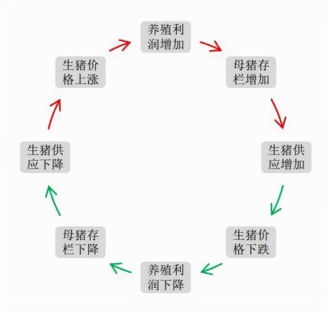 改变中国猪业！牧原、温氏做不到的事，要被阿里巴巴实现了