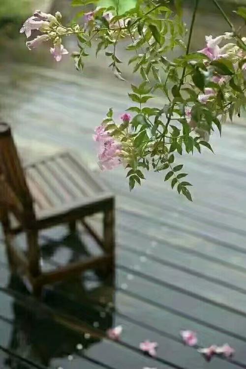 散文：愿有时光可回首，且以清欢度流年
