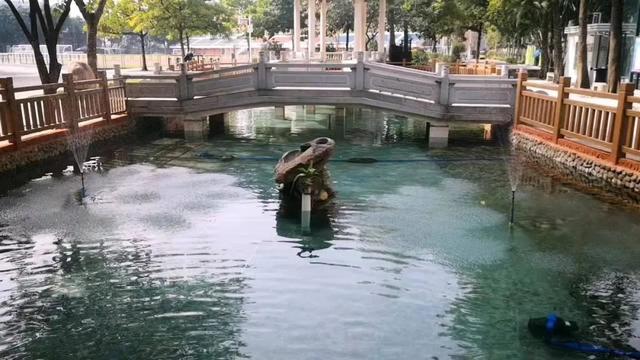 景观池塘过滤机