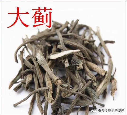 每天学习一味中药——大蓟