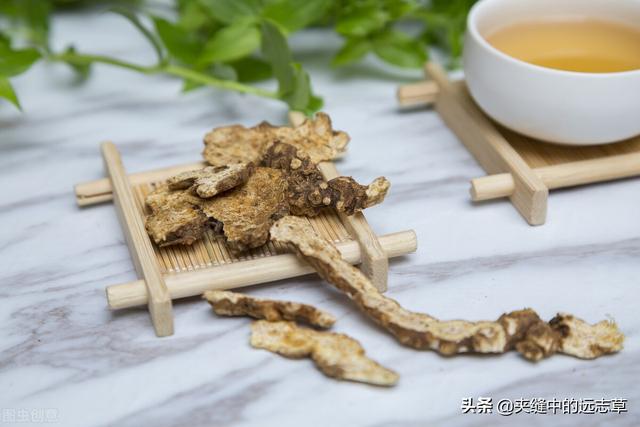 人身诸病，始于脾虚，聊一味白术，送给脾胃虚弱的你