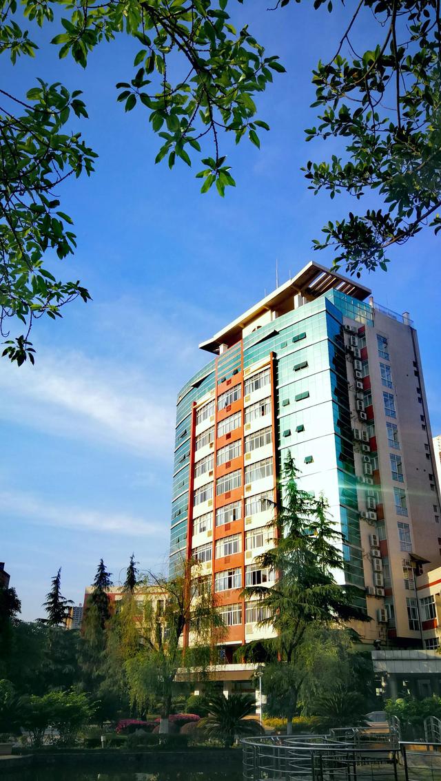 夏日里，美丽校园