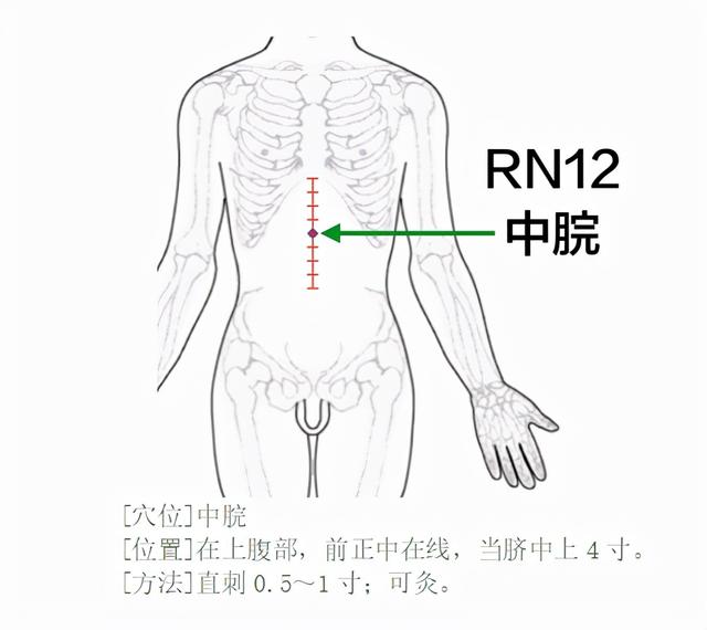 中医穴位，干货知识分享：任脉