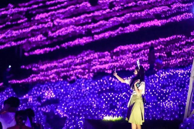 江西工程灯光展价格优惠