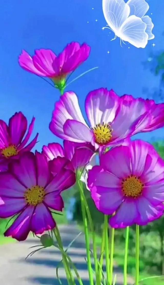 鲜花争艳，美景如画，令人心旷神怡