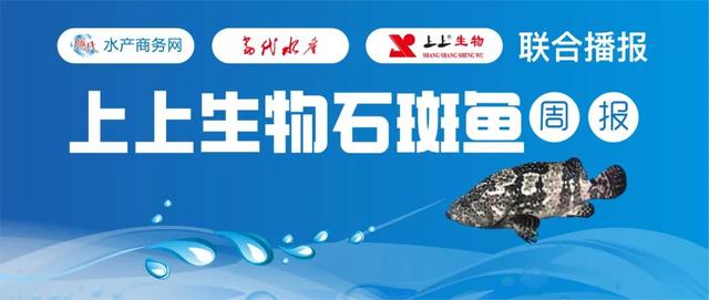 流通受限消费疲软，石斑收购价一跌再跌，珍珠龙胆最高下滑4.5元