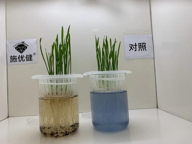 创新产品 | 施优健：一款响应减量增效的碳源有机生物**物5