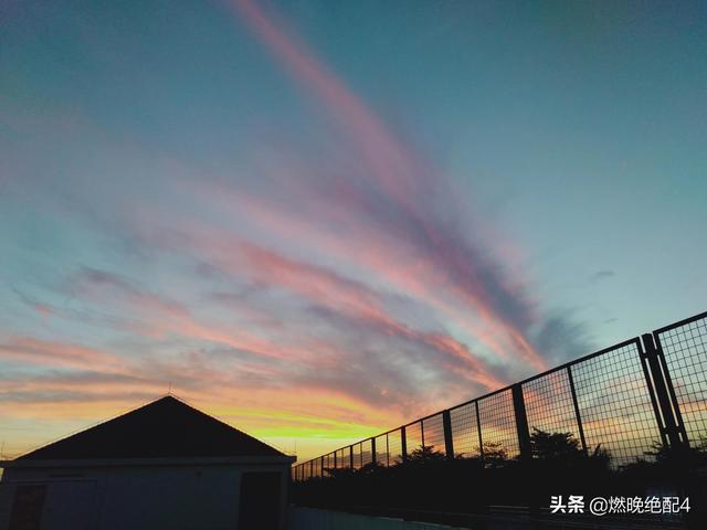 腹有诗书气自华，岁月从不败美人！#董卿