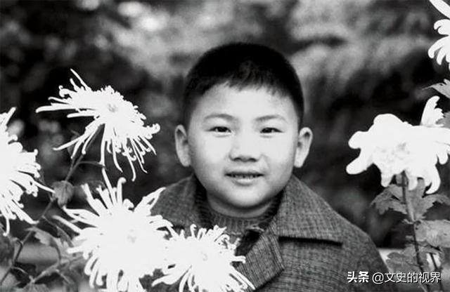 2007年毛岸青在北京逝世，病逝前嘱咐毛新宇：我要和妈妈葬在一起