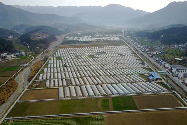三明大田县农业产业园规划
