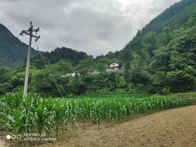 走進秦嶺大山，方悟出生命的源頭恰在山水間