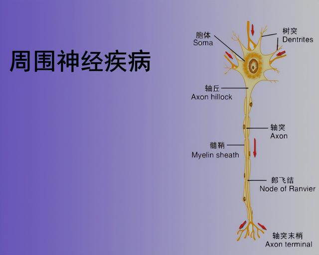 甲钴胺不只修复神经，还可用于5种常见病，多了解以备不时之需