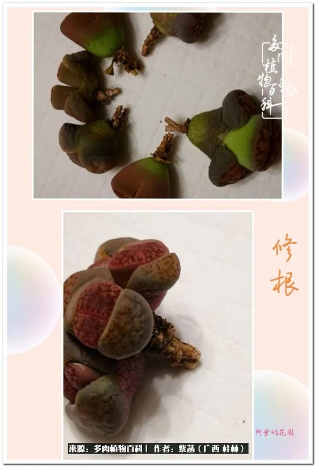 郑州新型泥土洗砂机