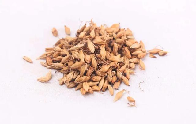 有种药专治吃饱了撑着，详解保和丸