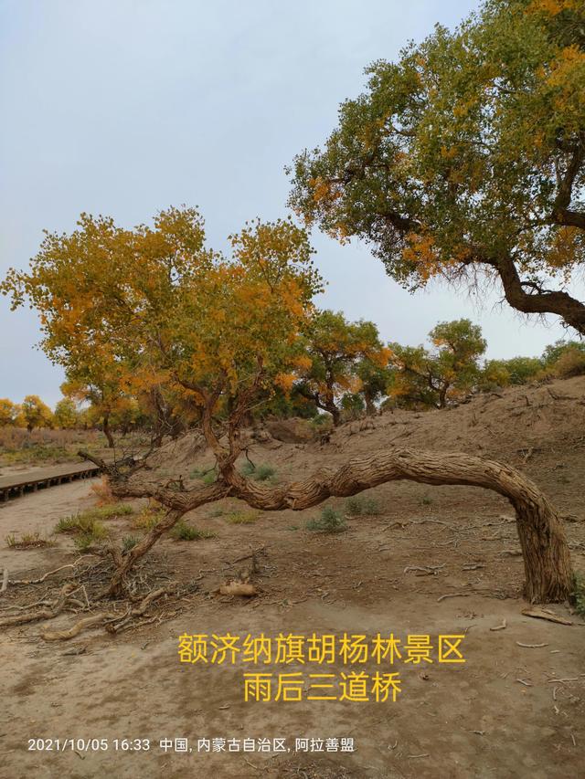 西行漫記之10月5日內蒙古篇