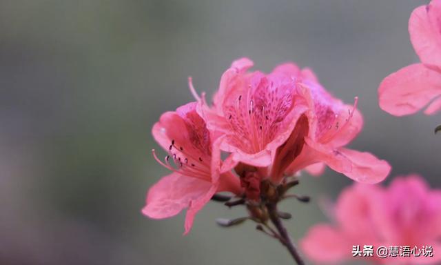 一念落下，万般悠然