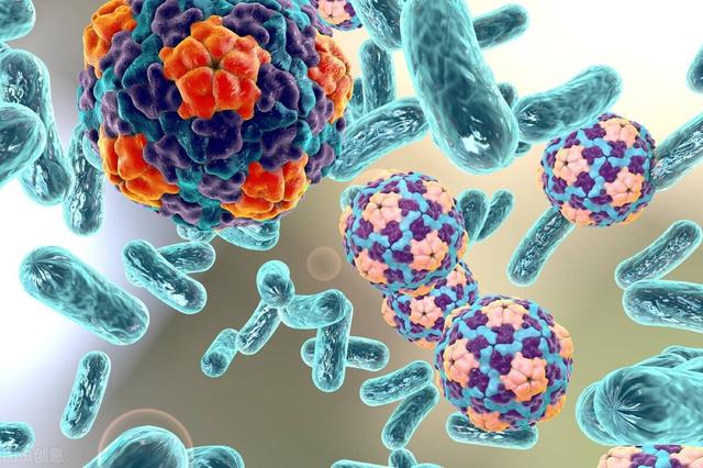 nkuc非角化性鼻咽癌