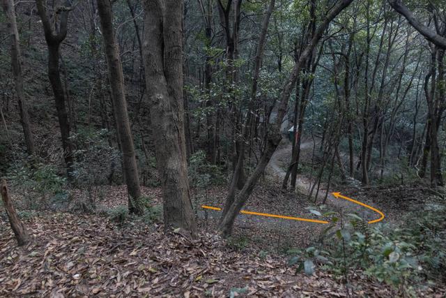 杭州登山徒步路線17：野路有趣，但不建議盲目去爬