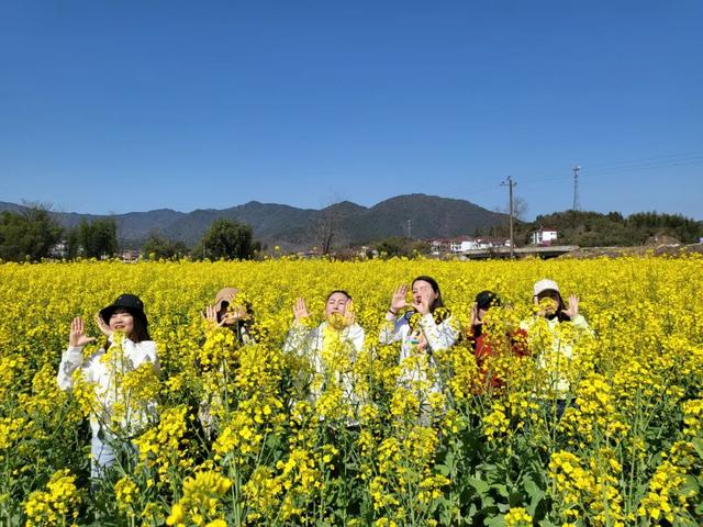 景德镇鲜花预定「春季赏花图片」