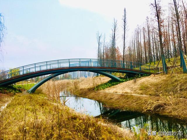 長沙唯一擁有戶外足球場的公園，更有大片水杉美景等你來