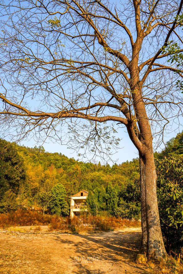 湖南有一座千年古寺，疑似史上最寒酸的皇家寺院，但鮮爲人知