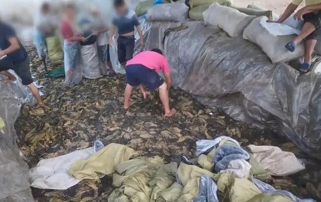 因一包酸菜，导致康师傅、统一流失数亿市值，严钦武到底什么来头