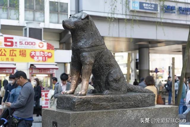 日本秋田