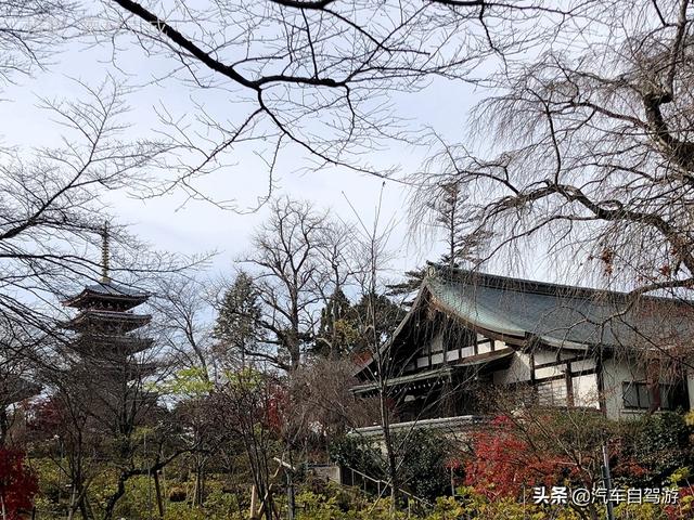 德村志成：落葉殘楓依然美麗，久違北小金本土寺