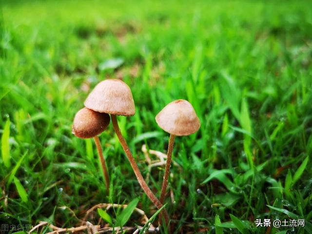 梅雨季节是什么时候