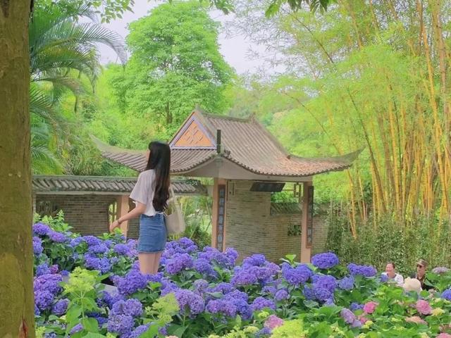 温馨的文案 | 愿所有美好都恰逢其时