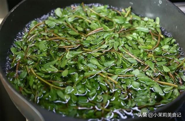 清明后，这5样野菜快老了，每样多摘点保存，一年都有“春菜”吃