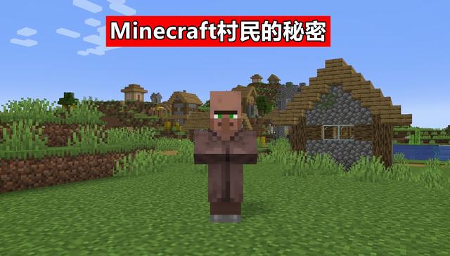 爸爸 我是怎么来的 聊聊 我的世界 村民背后的13个秘密 我的世界pk火游戏排行榜