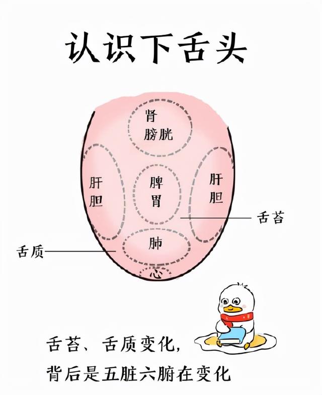 中医育儿——孩子的舌苔，在拼命暗示我们什么？