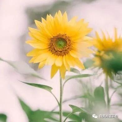 五月，人间正青春