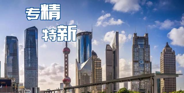 中国股市：真正的“专精特新”龙头，仅有10家